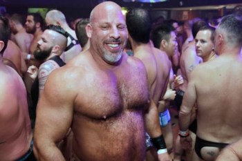 Bear Essentials Sydney