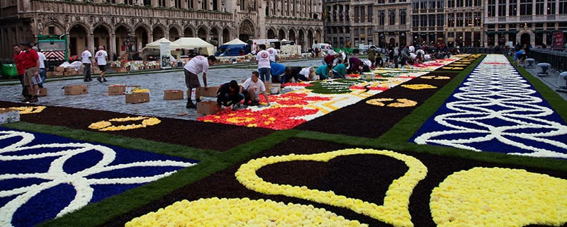 Flower Carpet