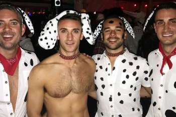 Spooky Bear Halloween in Provincetown