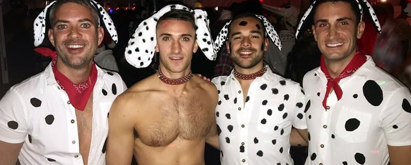 Spooky Bear Halloween in Provincetown