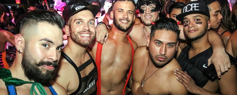 Halloween Alegria