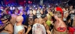 Halloween Whores Sydney