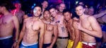 Apollo - Sydney Mardi Gras Edition