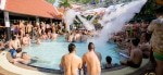 Bear Pool Party Bangkok