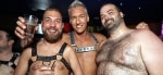 Dallas Bears Texas Bear Round Up