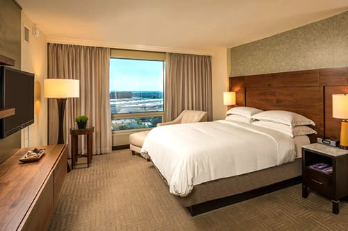 Hilton Tampa