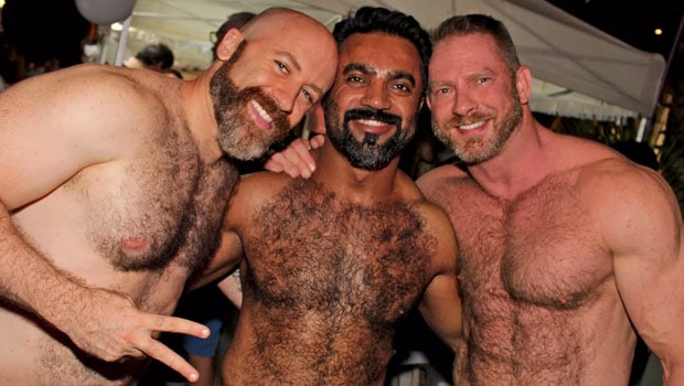 Gay bear sites