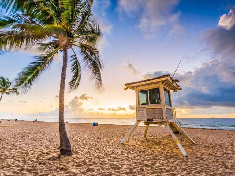 Tu Es Le Bienvenu En Espagnol Gay Fort Lauderdale Guide - Wilton Manors bars, clubs, restaurants, hôtels