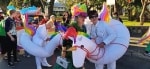 Albany Pride, Western Australia