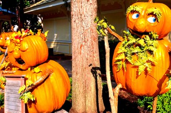Dollywood Harvest Festival and LumiNights