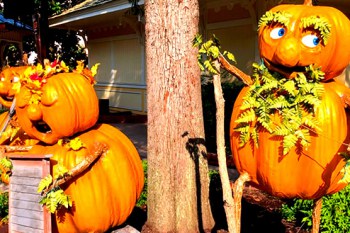 Dollywood Harvest Festival and LumiNights