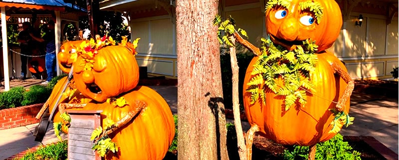 Dollywood Harvest Festival and LumiNights