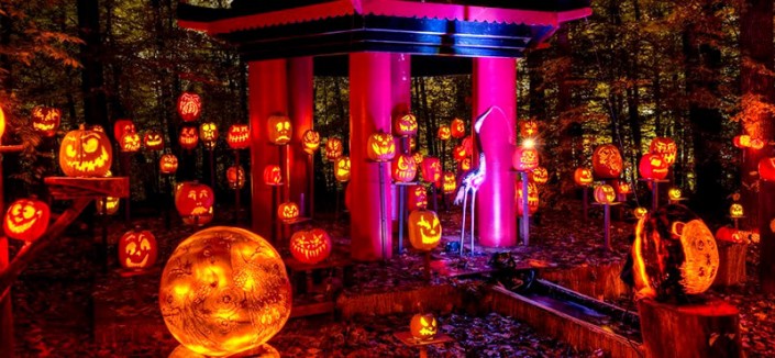 louisville jack o lantern spectacular 2020 louisville jack o lantern spectacular 2020