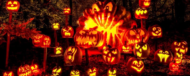 Jack O' Lantern Spectacular Louisville