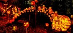 Jack O' Lantern Spectacular Louisville