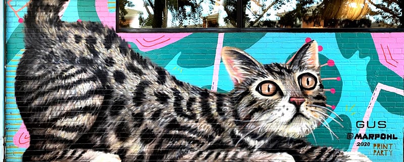 Plaza District Festival & Plaza Walls Mural Expo
