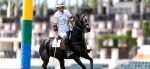 International Gay Polo League Tournament