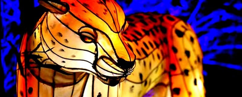 The Asian Lantern Spectacular