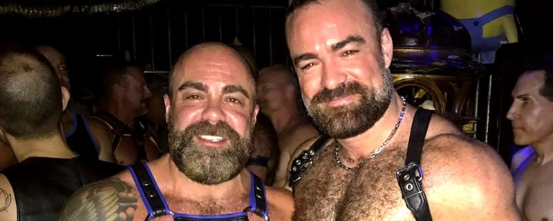 Bears in Lauderdale