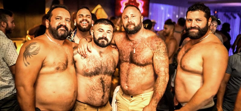 Bear Santo gay Domingo in Santo Domingo