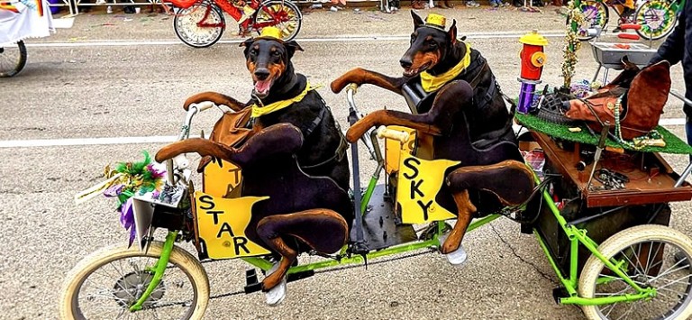 when is mardi gras parade st louis 2025