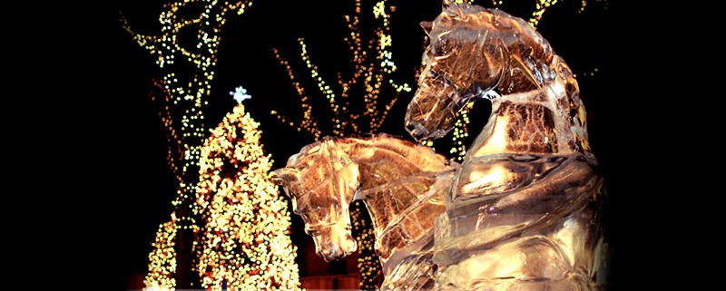 Christmas and New Year in Boston