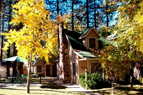 Sleepy Forest Cottages