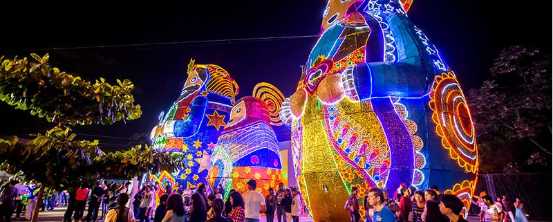 Medellin Christmas