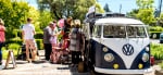 Pink Saturday, Sonoma