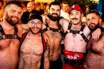 Bear Night San Diego