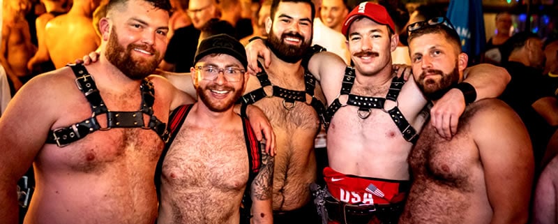 Bear Night San Diego