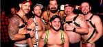 Festa di Furball Chicago Mr Leather Edition