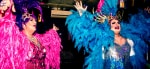 Gay Salzburg Long Night of Diversity