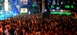 We Love Brazil - Madrid WE Pride Festival