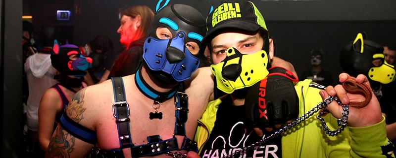 Puppy Weekend Cologne