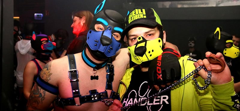 Puppy Weekend Cologne