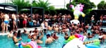 ManFest Wilton Manors