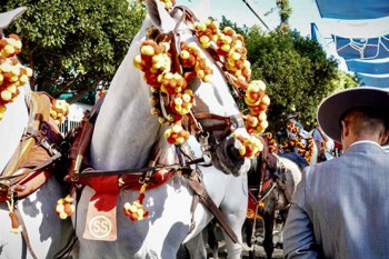Feria de Málaga - Malaga Fair 2023