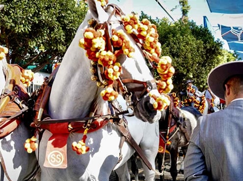 Feria de Málaga - Malaga Fair 2023