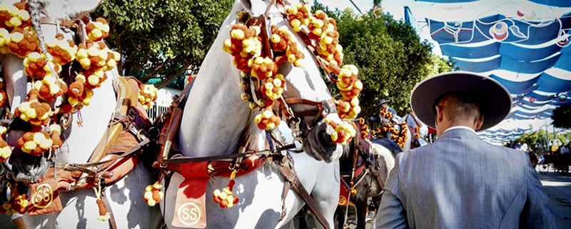 Feria de Málaga - Malaga Fair 2023