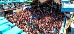 Mantamar Bear Week Puerto Vallarta