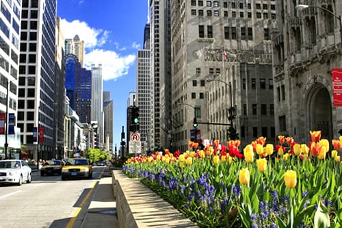 Magnificent Mile Chicago