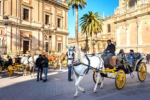 Santa Cruz Seville