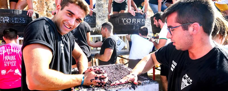 Festa de la Verema Sitges