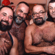 Bearded Party Cologne