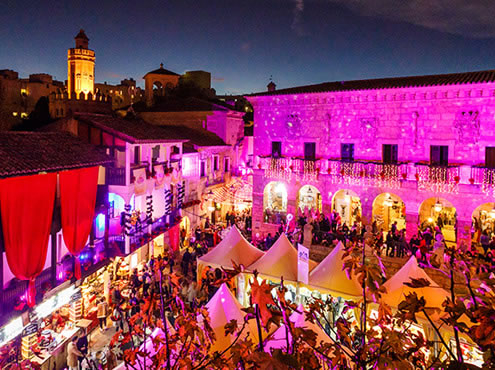 Gay Christmas & New Year in Palma Mallorca